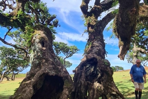 ファミリーツアー マデイラ島