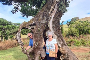 ファミリーツアー マデイラ島