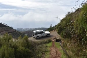 Funchal: Full Day 4x4, Fanal Mystic Forest and Levada walk