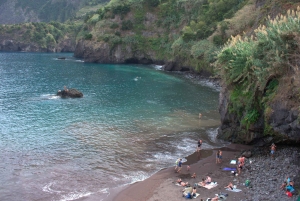 Funchal: Full Day 4x4, Fanal Mystic Forest and Levada walk