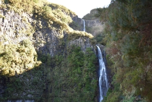 Funchal: Full Day 4x4, Fanal Mystic Forest and Levada walk