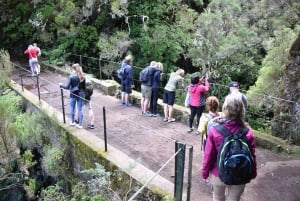Funchal: Full Day 4x4, Fanal Mystic Forest and Levada walk