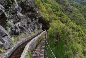 Funchal: Full Day 4x4, Fanal Mystic Forest and Levada walk