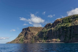 Funchal : visite d'une jounée de la route des Fajãs sur la côte de Madère avec déjeuner