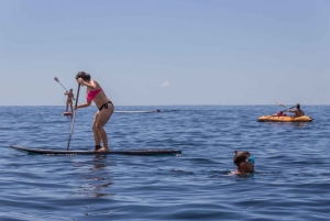 Funchal : visite d'une jounée de la route des Fajãs sur la côte de Madère avec déjeuner