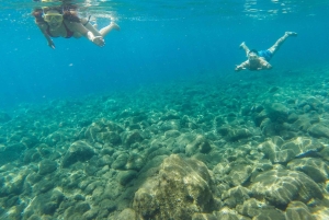 Funchal : visite d'une jounée de la route des Fajãs sur la côte de Madère avec déjeuner