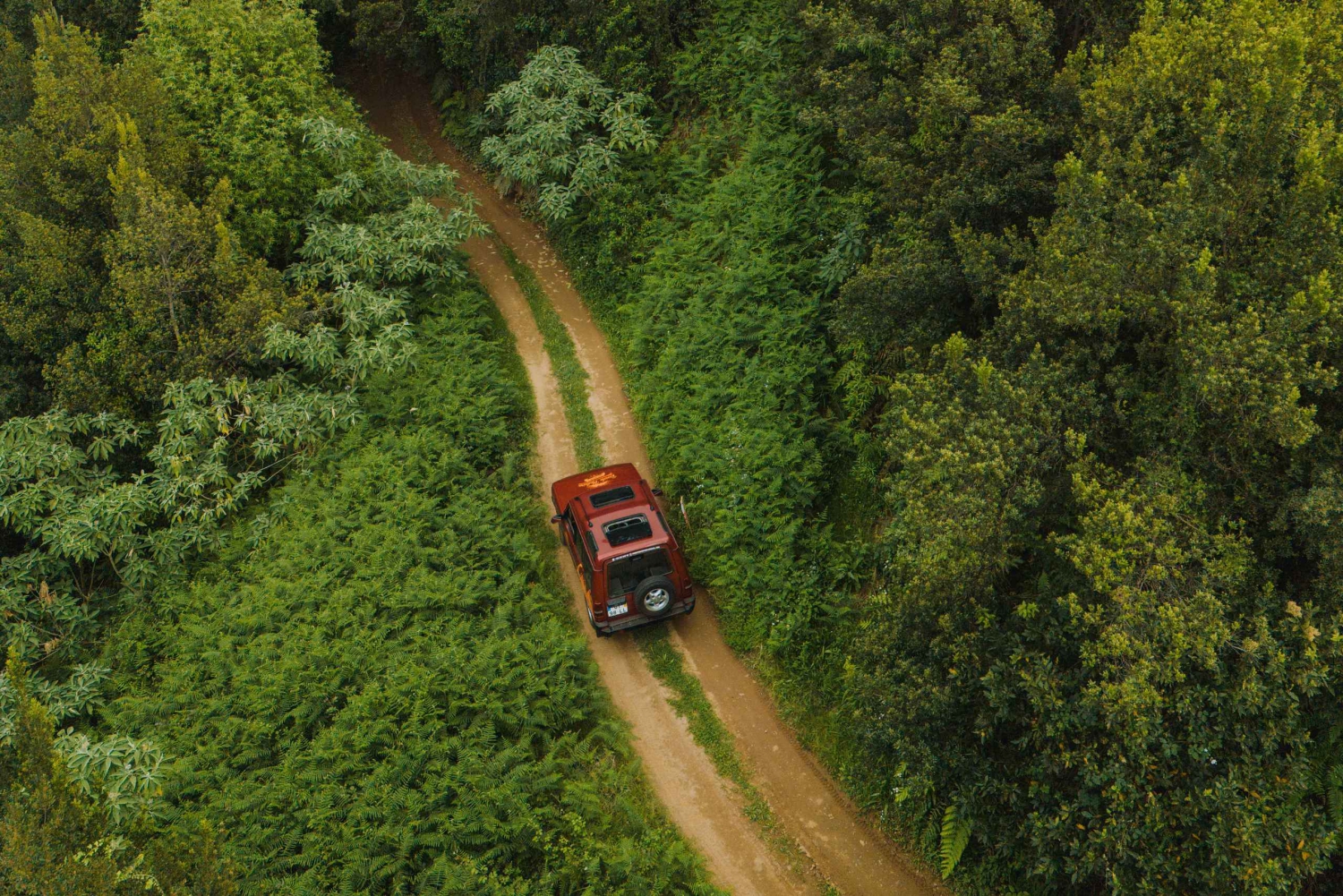 Funchal: Dagsutflykt i terrängen på västra Madeira med upphämtning