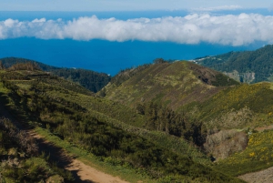 Funchal: Dagsutflykt i terrängen på västra Madeira med upphämtning