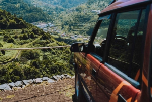 Funchal: Dagsutflykt i terrängen på västra Madeira med upphämtning