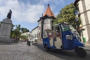 Funchal: Guided City Tuk-Tuk Tour