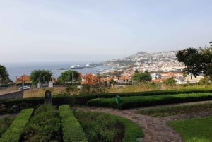 Funchal: Guided City Tuk-Tuk Tour