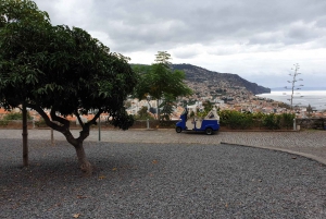 Funchal: Guided City Tuk-Tuk Tour