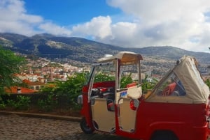 Funchal: Guided City Tuk-Tuk Tour