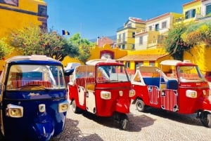 Funchal: Guided City Tuk-Tuk Tour