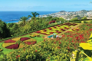 Funchal: Guidad Tuk Tuk-tur i Gamla stan och Botaniska trädgården