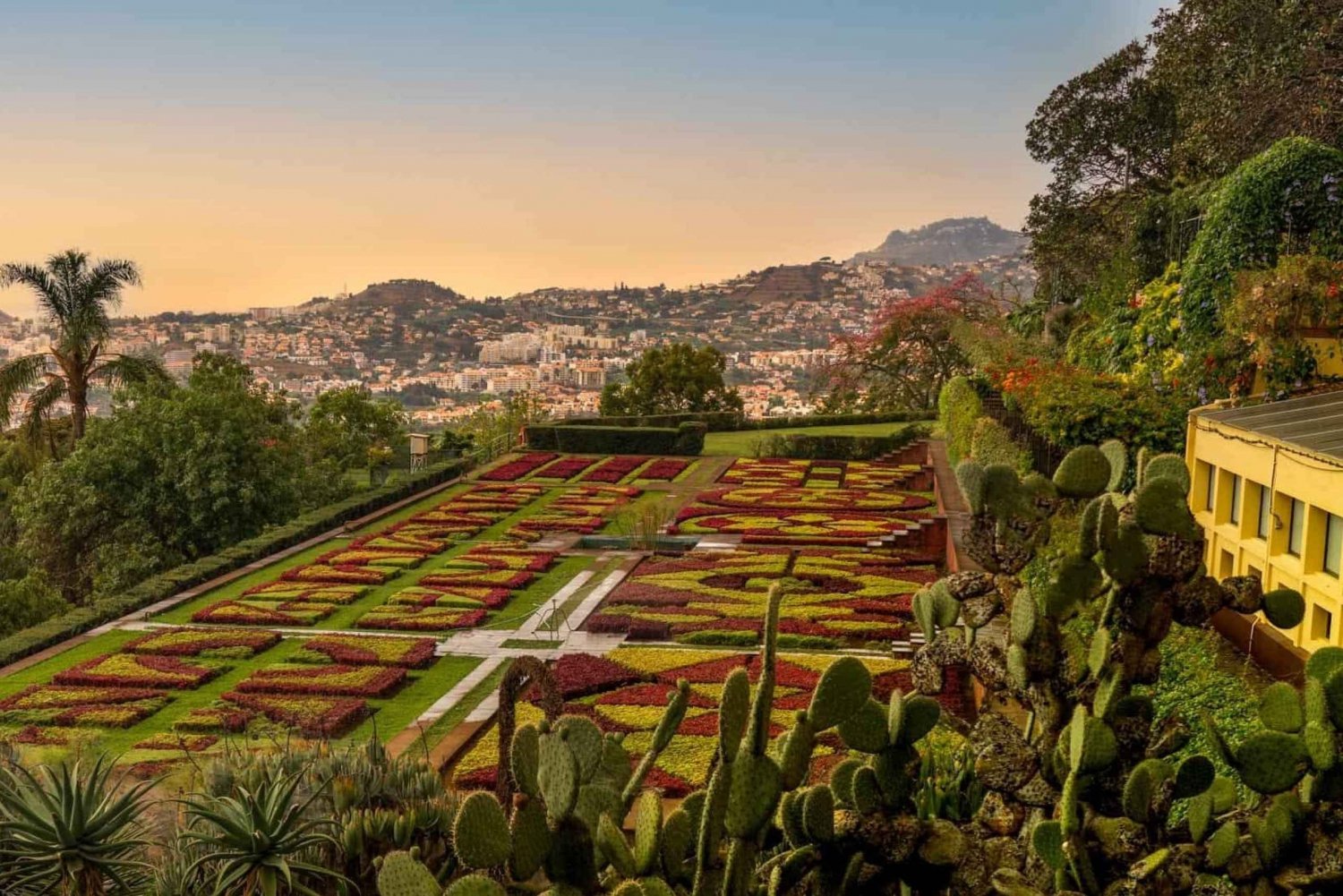 Funchal: Tuk Tuk rondleiding door de oude stad en botanische tuinen met gids