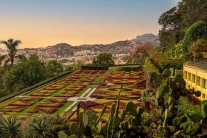 Funchal: Guided Old Town Tuk Tuk Tour and Botanical Gardens