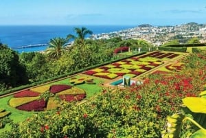 Funchal: Guided Old Town Tuk Tuk Tour and Botanical Gardens