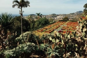 Funchal: Guided Old Town Tuk Tuk Tour and Botanical Gardens