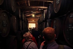 Funchal: H.M. Borges Winery Guided Tour with Wine Tasting