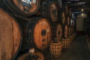 Funchal: H.M. Borges Winery Private Tour and Wine Tasting