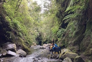 Funchal: Half-Day Beginner-Friendly Canyoning Experience