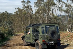 Funchal: Jeep Tour van een halve dag met Cabo Girão Skywalk