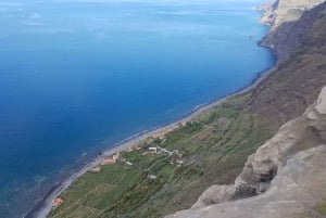 Funchal: Half-Day South Madeira Island Private Tour