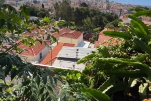 Funchal Historical Tuk-Tuk Guided Tour