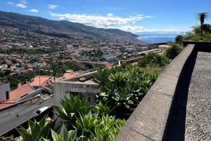 Funchal Historical Tuk-Tuk Guided Tour