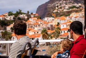 Funchal:Hop-on Hop-off Bus & Whale & Dolphin boat Excursion