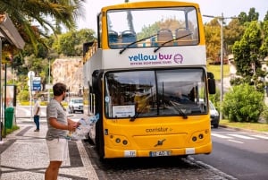 Funchal:Hop-on Hop-off Bus & Whale & Dolphin boat Excursion