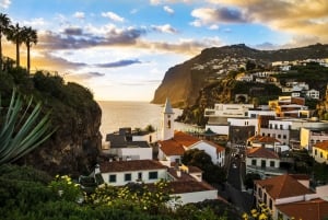 Funchal:Hop-on Hop-off Bus & Whale & Dolphin boat Excursion