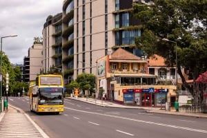 Funchal:Hop-on Hop-off Bus & Whale & Dolphin boat Excursion