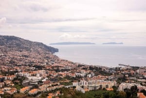 Funchal:Hop-on Hop-off Bus & Whale & Dolphin boat Excursion