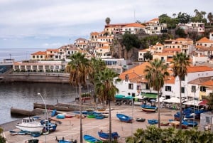 Funchal:Hop-on Hop-off Bus & Whale & Dolphin boat Excursion