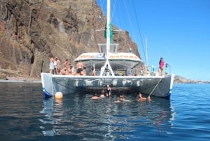 Funchal:Hop-on Hop-off Bus & Whale & Dolphin boat Excursion