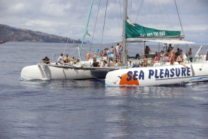 Funchal:Hop-On/Hop-Off-Bus & Wal- und Delfinboot-Ausflug