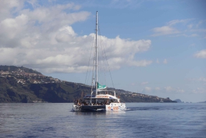 Funchal:Hop-On/Hop-Off-Bus & Wal- und Delfinboot-Ausflug