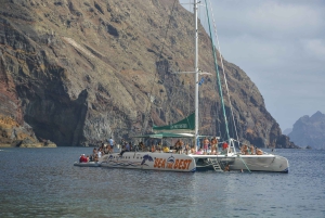 Funchal:Hop-On/Hop-Off-Bus & Wal- und Delfinboot-Ausflug