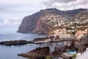 Funchal:Hop-On/Hop-Off-Bus & Wal- und Delfinboot-Ausflug