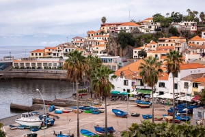 Funchal:Hop-On/Hop-Off-Bus & Wal- und Delfinboot-Ausflug