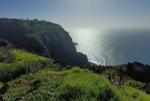 Full Day In Madeira On A 4X4 To Porto Moniz And Fanal Forest