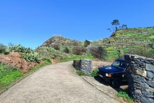 Full Day In Madeira On A 4X4 To Porto Moniz And Fanal Forest