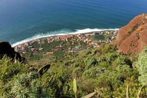 Full Day In Madeira On A 4X4 To Porto Moniz And Fanal Forest