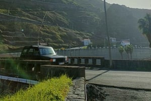 Full Day In Madeira On A 4X4 To Porto Moniz And Fanal Forest