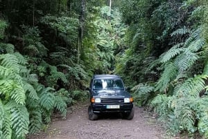 Full Day In Madeira On A 4X4 To Porto Moniz And Fanal Forest