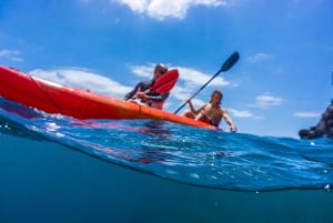 Funchal: KAYAK Rental or Guided tour with snorkeling