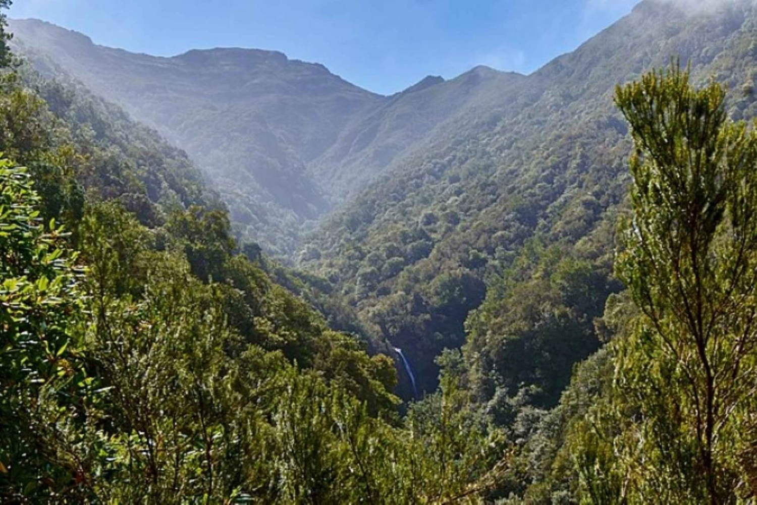 Funchal: Levada Caldeirão Verde Waterfalls and Forests Hike