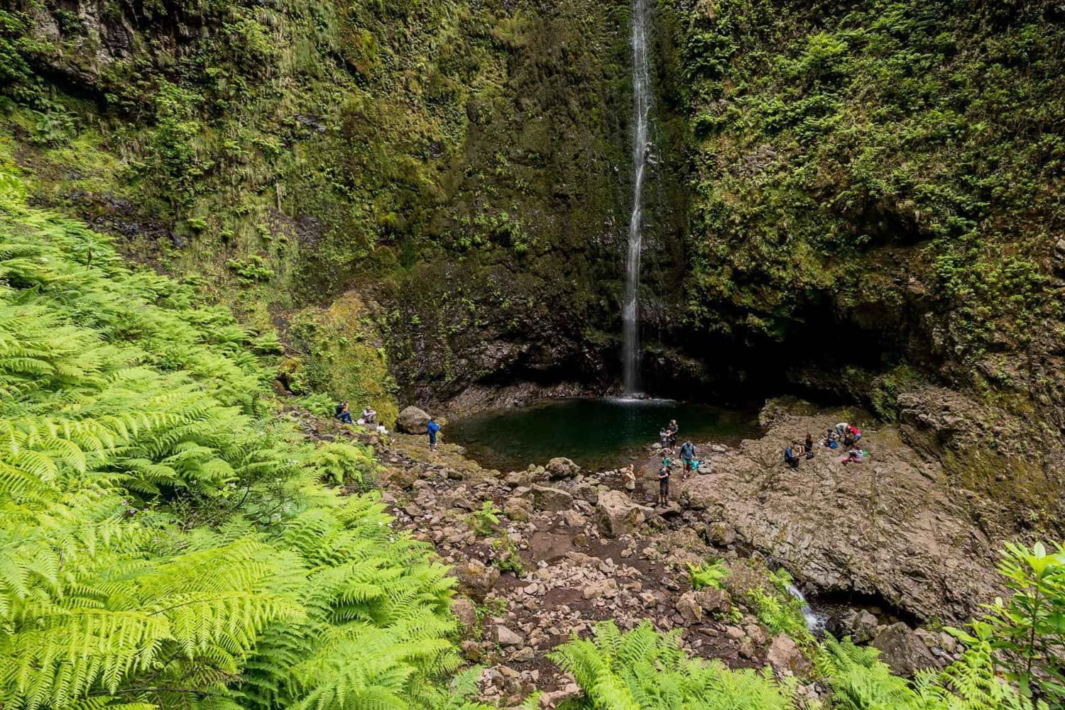 Funchal: Levada Caldeirão Verde Waterfalls and Forests Hike